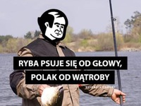 Polak