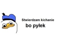 Bo pyłek..