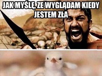 Kiedy jestem zła