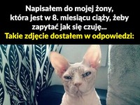 ŻONA postanowiła mu to pokazać! MISTRZOSTWO!