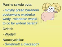 Dzieci szybko się uczą! Ale dogadały!