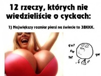 12 faktów o CYCKACH o których nie wiedzieliście! :)