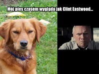 Clint Pieswood