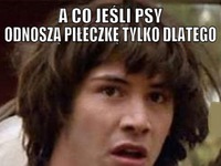 A co jeśli