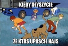 Wszyscy szukają