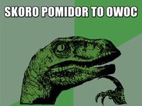 Pomidor