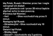 Idą Polak, Rusek i Niemiec przez las i nagle zatrzymał ich diabeł!