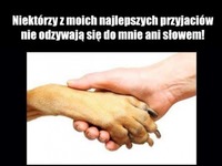 najlepsi przyjaciele