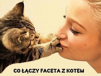 Co łączy FACETA z KOTEM! 5 najlepsze!