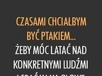 chciałbym