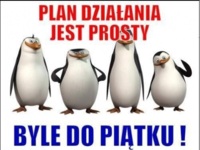 Plan działania jest prosty! :)