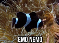 Emo Nemo