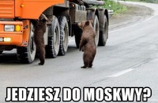 Do Moskwy