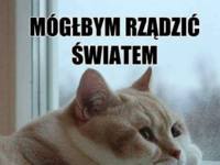 Mógłbym rządzić światem...