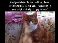 Kiedy je widzisz