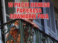 Osiedlowy monitoring - galeria :D