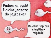 Zabłądzili