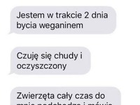jestem w trakcie