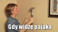 Gdy widzę pająka :D