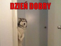 Dzień Dobry