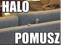 Halo POmusz