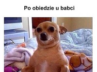 Obiadek u babci