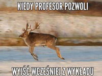 Wcześniejsze wyjście