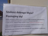 szukasz męża?