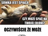 Zgadzam się!