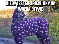 Koń w piżamie