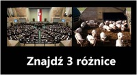 Sejm vs Chlew