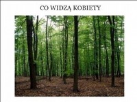 LAS- co widzą KOBIETY a co widzą MĘŻCZYŹNI- dobre! :D