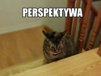 perspektywa