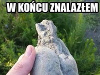 W końcu znalazłem