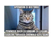 Opowiem ci historię