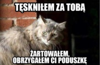 Tęsknilem za tobą :)