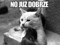 No już dobrze... :D