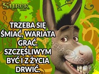 rada osła
