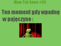 Ten moment gdy wpadnę w pajęczynę :D