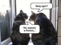 Wyprany w Perwolu ;D