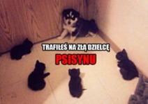 Trafiłeś na złą dzielnicę