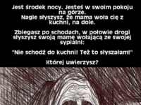 Jest środek nocy. Jesteś w soim pokoju i ... Której uwierzysz? ;D