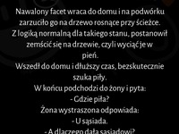 Nawalony facet wraca do domu i na podwórku zarzuciło go na drzewo rosnące przy ścieżce :)