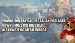 Co ten pieseł