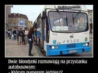 Kawały o blondynkach! :)