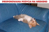 Proponowana pozycja na weekend