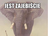 Jest zajebiście