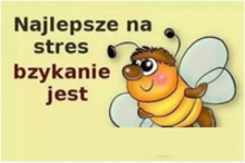 Najlepsze na stres