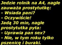 Rolnik na A4 :D