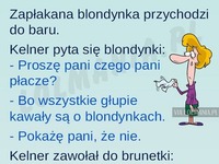 Blondynka płącze, że nie jest głupia...a nagle! HAHA!